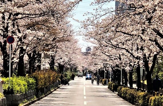 板橋区にある高島平介護センターでケアマネジャーの求人を行っております。