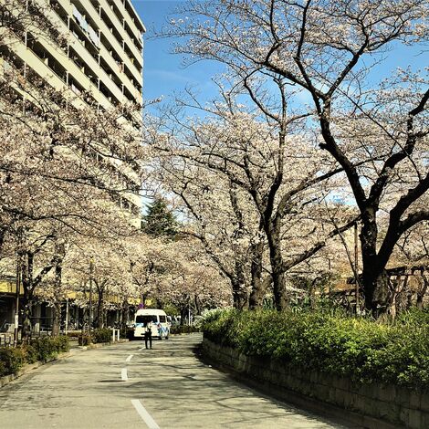 写真 2018-03-24 10 02 15